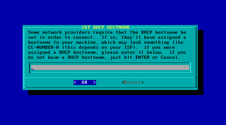 Provide a DHCP Host Name Only If Required